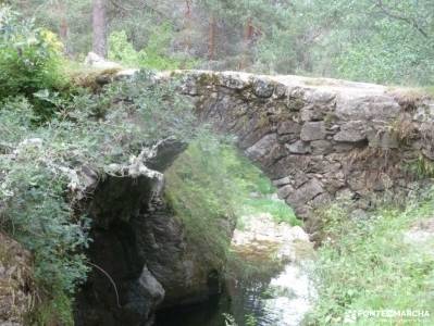 Tejos Rascafría-Valhondillo o Barondillo;tren a cotos senderismo grazalema agencias de viajes espec